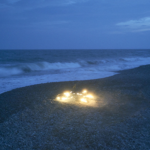 美国色情免费网站
