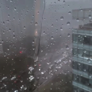 美国色情免费网站
